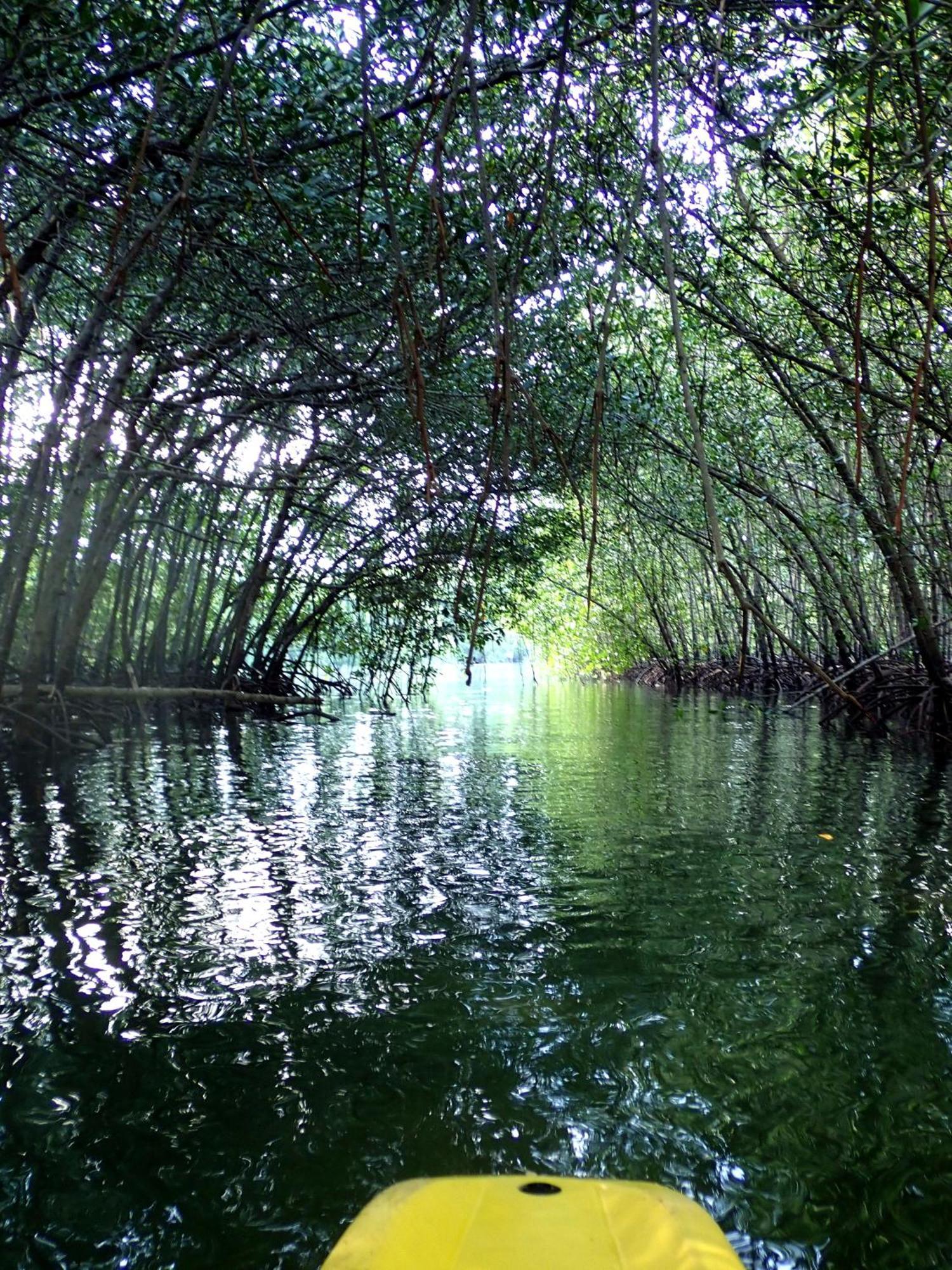 Eskapo Verde Lodge Moalboal Badian Bagian luar foto
